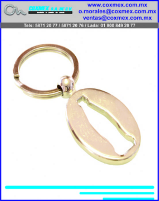 LLavero Metalico